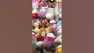 Won a Squishmallow Claw Machine! #shorts #squishmallow #clawmachine