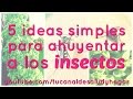 5 ideas para ahuyentar insectos