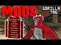 I used mods to kick gun gorilla tag players gorilla tag