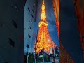 Seoul at Night 🇰🇷 | Neon Streets &amp; City Vibes in 4K