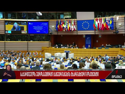 საქართველოს ევროკავშირში გაწევრიანების მხარდამჭერი დოკუმენტი