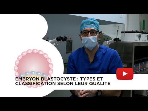 Vidéo: Différence Entre Blastocyste Et Embryon