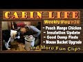 OFF GRID CABIN LIFE.   Cocktails, Mice & Mango Chicken with an Insulation Update