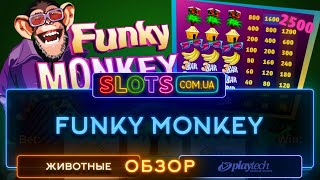 Игровой автомат Funky Monkey - видеообзор