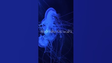 #وإذا  قرئ القران فاستمعوا له | ياسر الدوسري سورة الاعراف |
