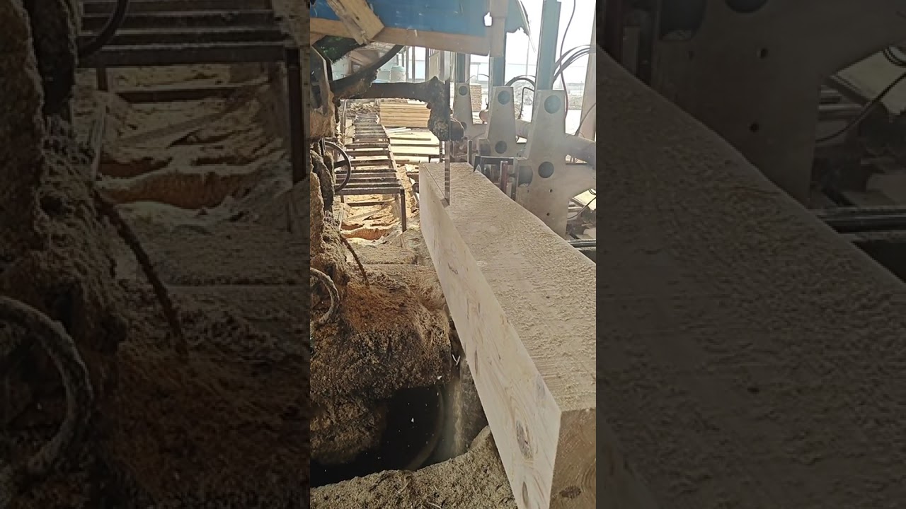 Sun Bin Shandong Junze Wood 