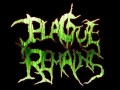 Plague Remains - With All My Hate