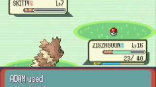 Celebrity Pokemon Emerald Episode 11:Train and Catch before Dewford Profile
