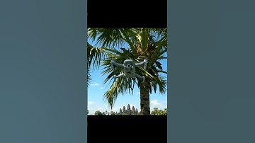 Drone crashes into palm trees in rice fields​  #aivideo #drone #dji #shorts