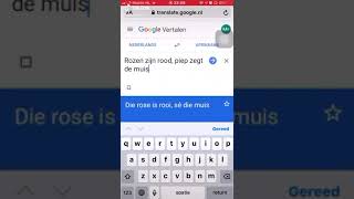 Rozen Zijn Rood - Google Translate Meme 8