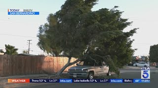 Strong Santa Ana Winds Continue To Batter Socal