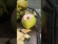 Fresh Coconut Opening Skill Cambodia Street Food
