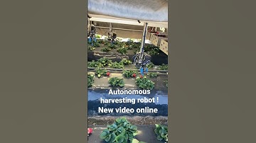 🦾🍓 Harvesting robot in strawberries! #tractor #autonomoustractor #autonomousfarming #agriculture