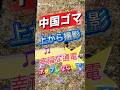 中国ゴマ🎵幸福な通電 ポップしなないで #中国ゴマ#幸福な通電#ポップしなないで#ポしな#Diabolo#juggling#春#上から撮影#2Dia#juggling