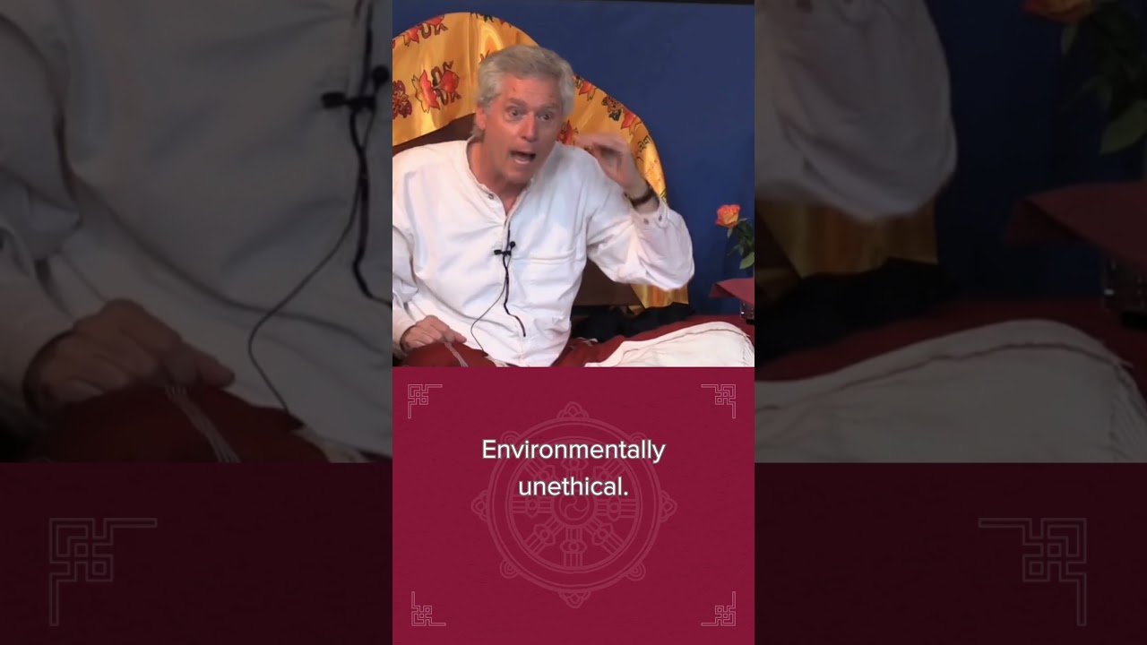 A Buddhist View of Free Will – B. Alan Wallace 