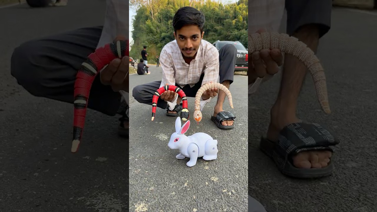 Распаковка двух радиоуправляемых змей 🐍 и кролика 😆