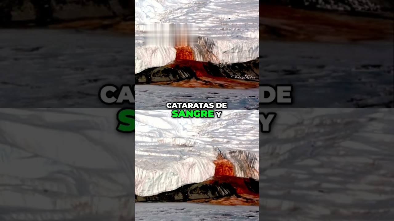 Lo que encontraron bajo el hielo... NO DEBERÍA ESTAR AHÍ...