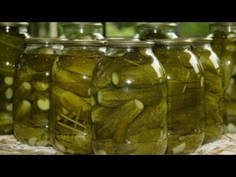 Почему мутнеет рассол в соленых огурцах
