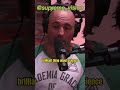 How much of the bible do you believe is real ✝️✝️ #joerogan #shorts