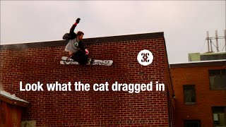 Look what the cat dragged in (by Oliver Hoblitzelle)