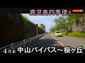 すっかり葉桜 中山バイパス 谷山北中学校 桜ヶ丘団地  鹿児島 おまかせテレビ2023年4月28日