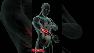 Elbow Pain| Tennis Elbow| Sport Injuries| One Minute Complete Guide.