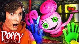 POPPY PLAYTIME: CHAPTER 2 HAR SLÄPPTS! (sjukt läskigt!) | Poppy Playtime: Chapter 2