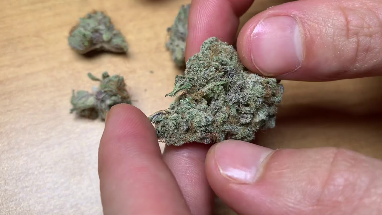 Breaking Down Nugs of Himalayan BlackBerry Strain