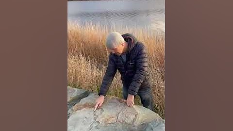 Fossil or not a fossil?