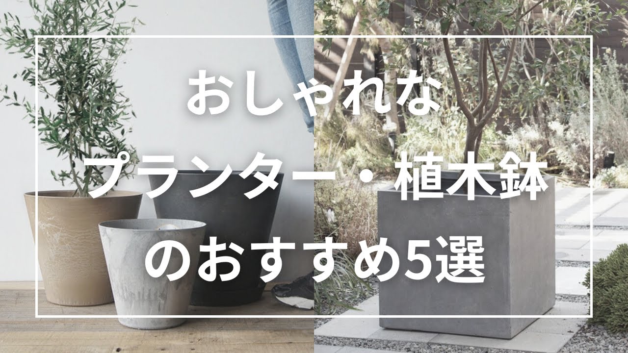 おしゃれなプランター・植木鉢のおすすめ5選。かわいい陶器製から大型のものまで - YouTube