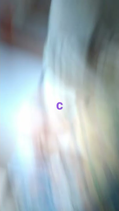 fwwwwwsqq1qee dan by free r1@92