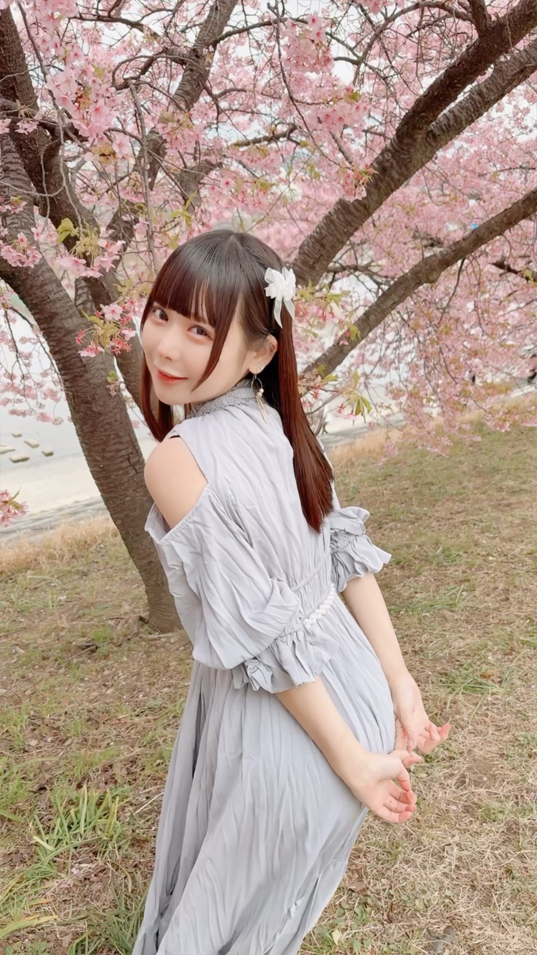 鹿乃 ばんび〜の 18枚 初回限定含む 鹿乃 ばんび〜の 18枚 初回限定含む - メルカリ