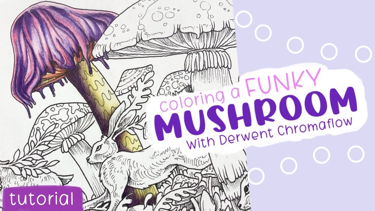 Mushroom colored pencil tutorial | It’s funky!