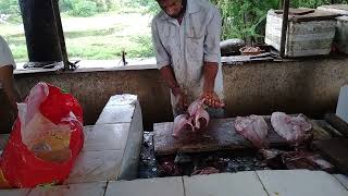 5Kg Red Snapper Fish Cutting Skills Goa Ktc Market Amazing