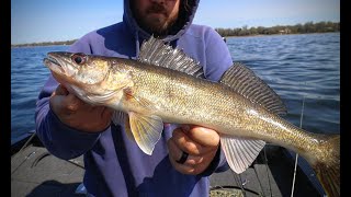 How to Catch Spring Walleyes NOW (Opening Week on Mille Lacs)