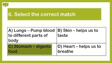 Olympiad Science Class 2 Topic - Human Body