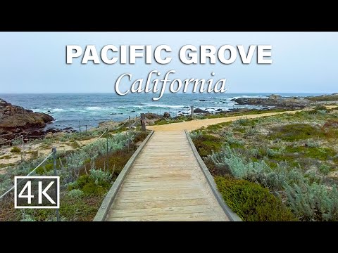 [4K] The Asilomar Coast Trail - Perfect For A Stroll In Pacific Grove, California