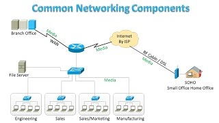 Common Networking Components