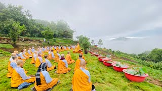 NIKAYA Thiền Quán - Bọt Bóng Ảo Thuật  - Kinh Bọt Nước,Tương Ưng III