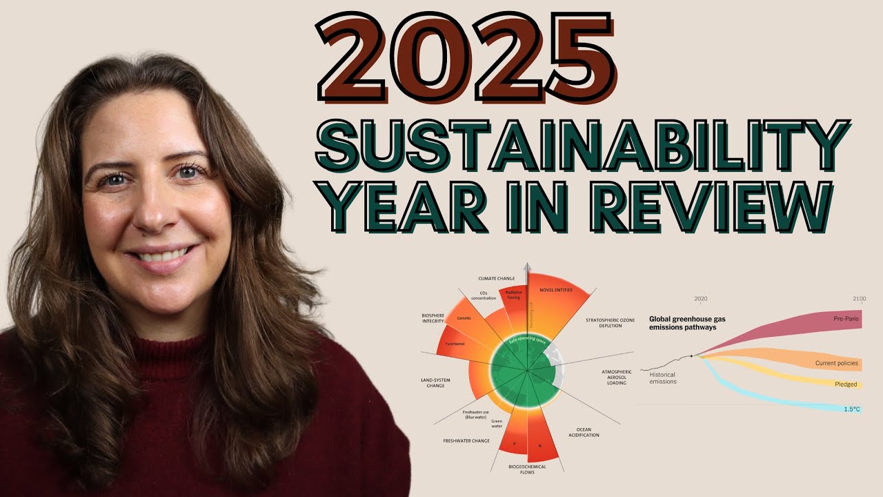 2025 Sustainability Year in Review