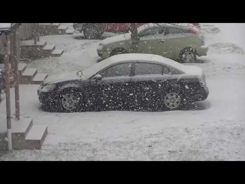 Video: Má Albany Oregon sníh?