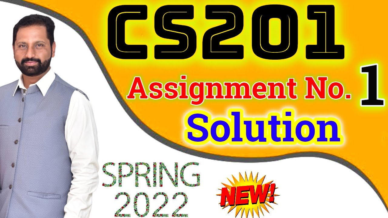 assignment solution cs201