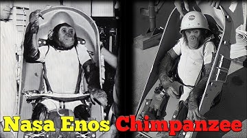 Nasa Enos Chimpanzee Story || Mercury Atlas Mission || #shorts #bearer07 #youtube