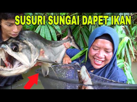 Olahan Menyusuri Derasnya Sungai Demi Mencari Ikan Buat Dimasak Yang Bernutrisi Baik