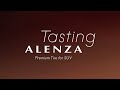 Tasting ALENZA 30s
