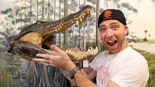 Florida SWAMP FOOD Feast - Turtle, Gator and Frogs oh my!!! + Airboat Ride | St. Cloud, Florida