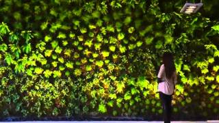 ACER Ejecución de muro verde
