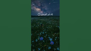 تلاوه هادئه💜سوره يس🦋بصوت وضاح💛 الحمودي💙صوت جميل 🕊ستوريات 🧡