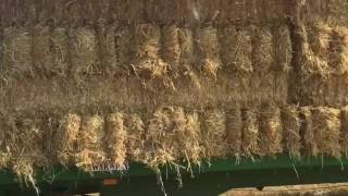 south hants hay straw bailing 2016