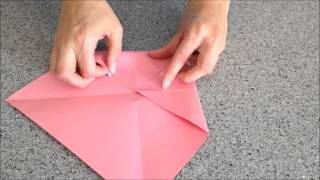 How to Make a Cootie Catcher!